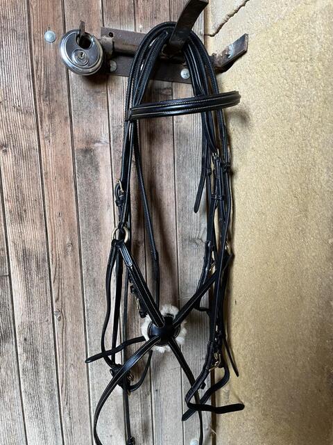 Bridon time rider muserolle croisé
