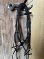 Bridon time rider muserolle croisé