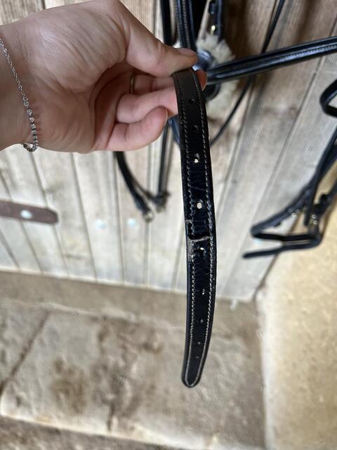 Bridon time rider muserolle croisé