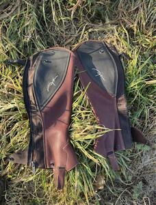 Chaps Dyon