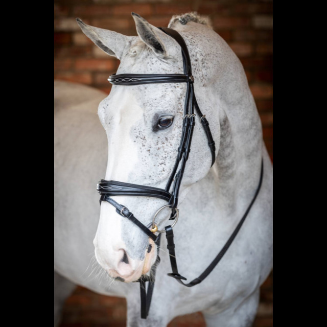 Bridon Competition Flash