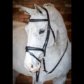 Bridon Competition Flash