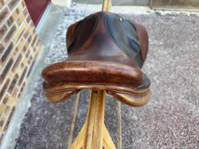 Selle Privilege Equitation