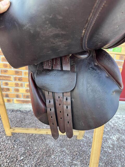 Selle Privilege Equitation