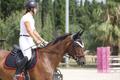 Selle cso