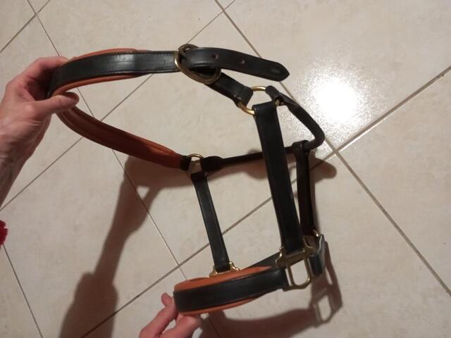 Licol en cuir