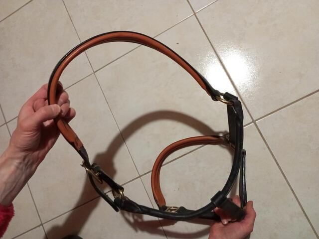 Licol en cuir