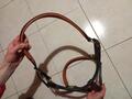 Licol en cuir