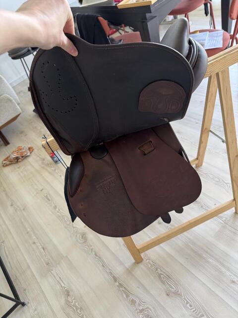 Selle Athena Bruno delgrange 17,5 obstacle
