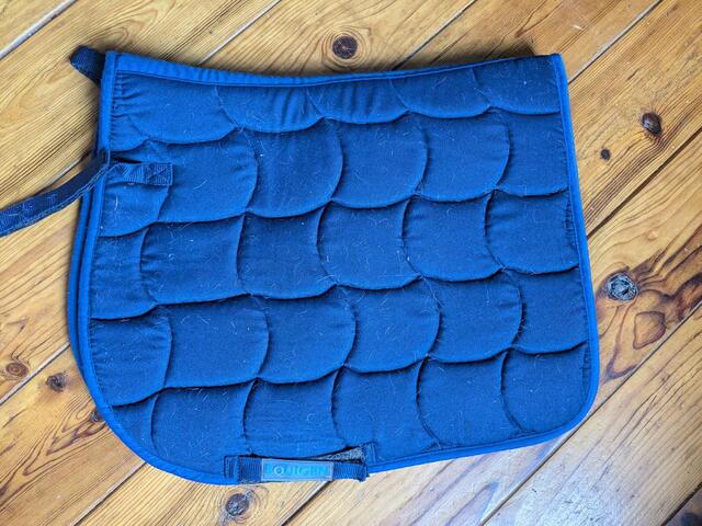 tapis bleu poney