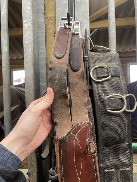 Sangle bavette CWD