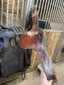 Sangle bavette CWD