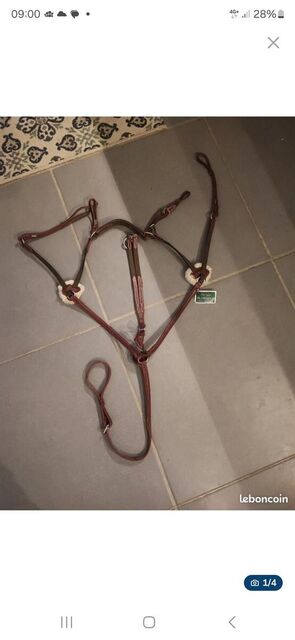 Collier de chasse martingale kolibri neuf