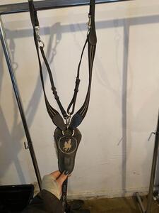 collier de chasse HV POLO