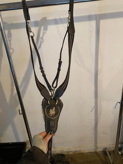 collier de chasse HV POLO