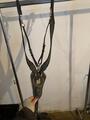 collier de chasse HV POLO