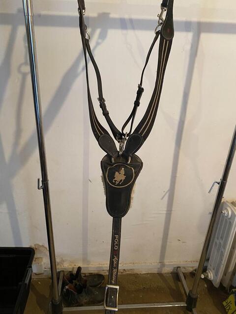 collier de chasse HV POLO