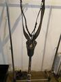 collier de chasse HV POLO
