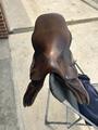 selle antares