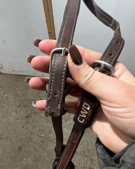Martingale CWD
