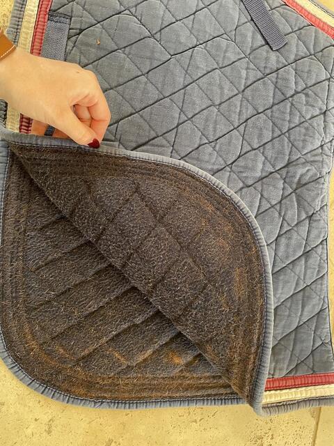 Tapis