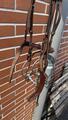 Bridon Butet Sport muserolle combinée