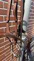 Bridon Butet Sport muserolle combinée