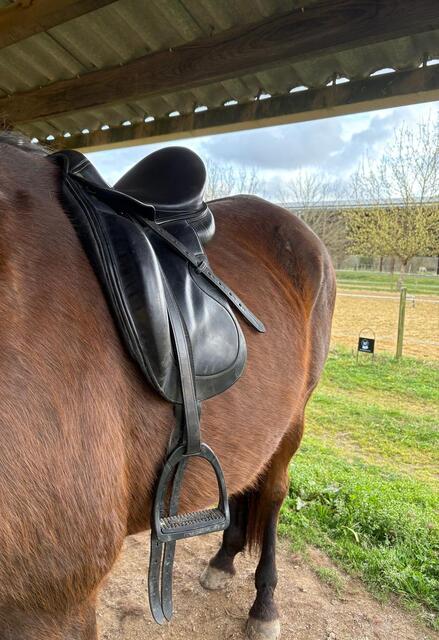 Selle Dressage Forestier Diabolo