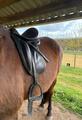 Selle Dressage Forestier Diabolo