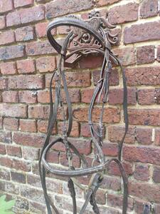 Bridon cheval