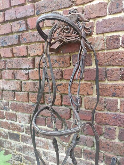 Bridon cheval
