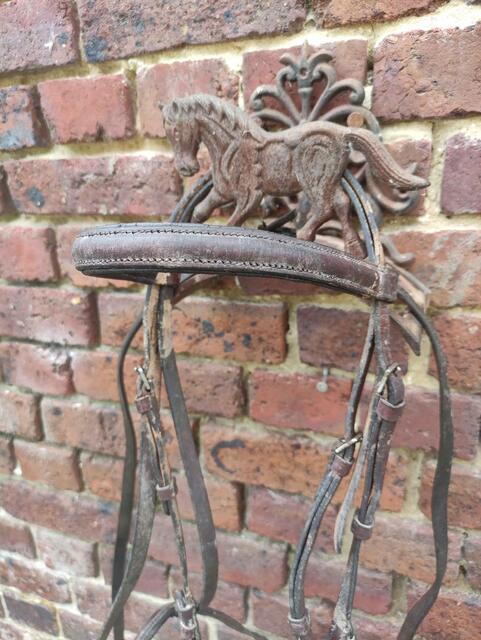 Bridon cheval
