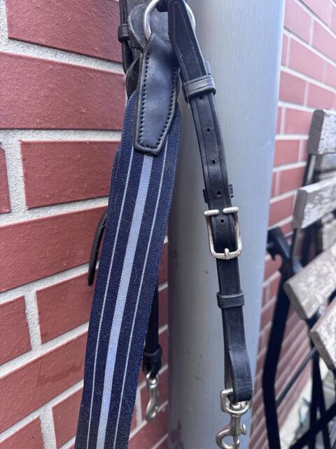 Collier de chasse Antares noir
