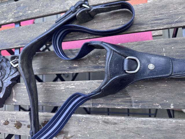 Collier de chasse Antares noir