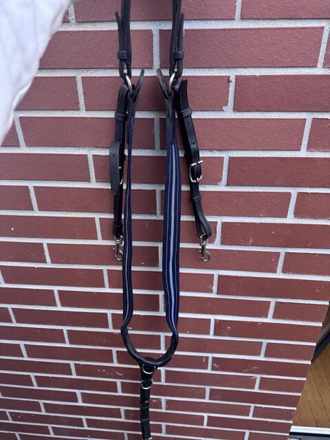 Collier de chasse Antares noir
