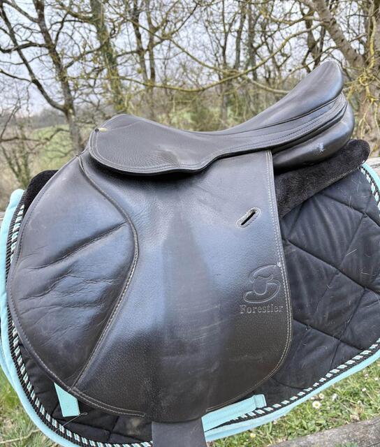 selle forestier mono quartier