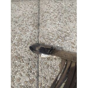 frontal anti mouche