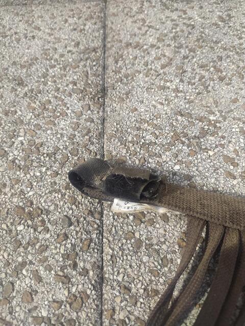 frontal anti mouche