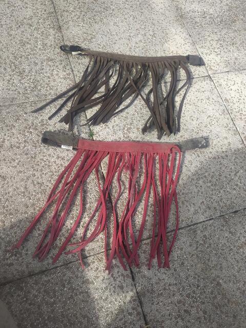 frontal anti mouche