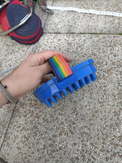 brosse shampoing
