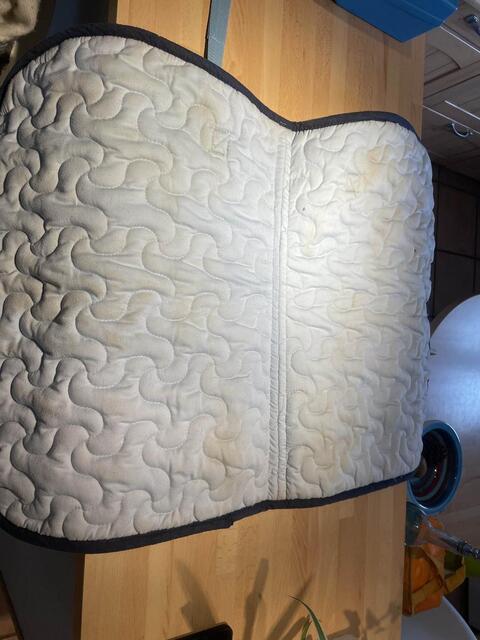 tapis poney bleu