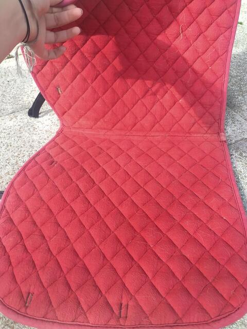 tapis rouge