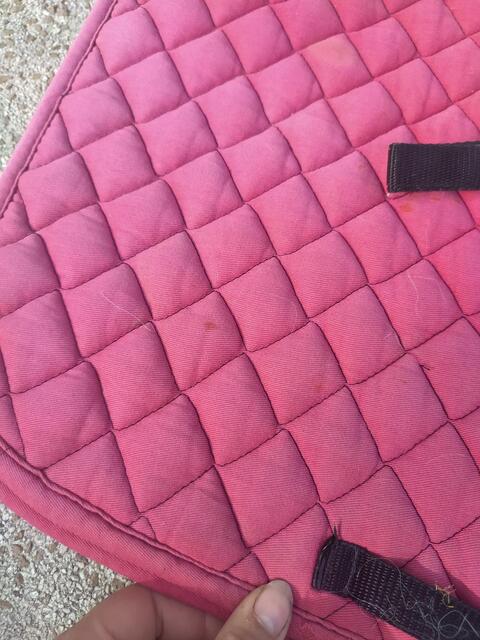 tapis rouge