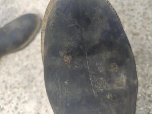 boots