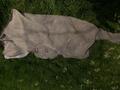 Couverture anti mouches