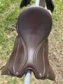 Selle Norton rexine