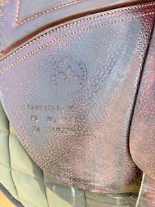CWD SE02 semi creuse