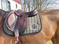 CWD SE02 semi creuse