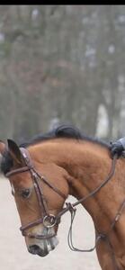 Filet CWD taille 1