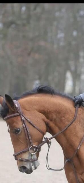 Filet CWD taille 1